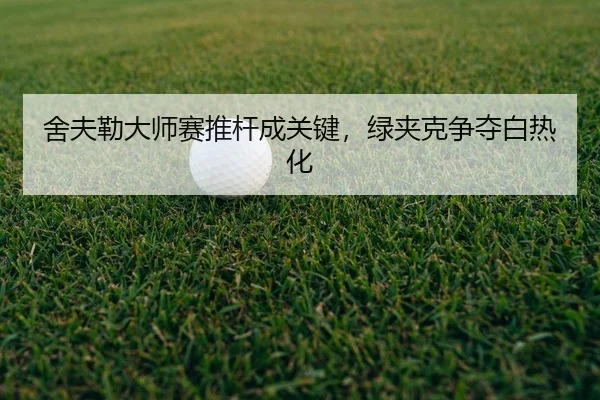 she-fu-lei-da-shi-sai-tui-gan-cheng-guan-jian-lv-jia-ke-zheng-duo-bai-re-hua-2-780.jpg