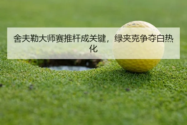 she-fu-lei-da-shi-sai-tui-gan-cheng-guan-jian-lv-jia-ke-zheng-duo-bai-re-hua-3-484.jpg